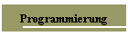 Programmierung